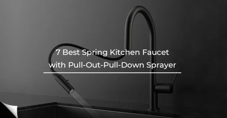 Spring Kitchen Faucet with Pull-Out-Pull-Down Sprayer